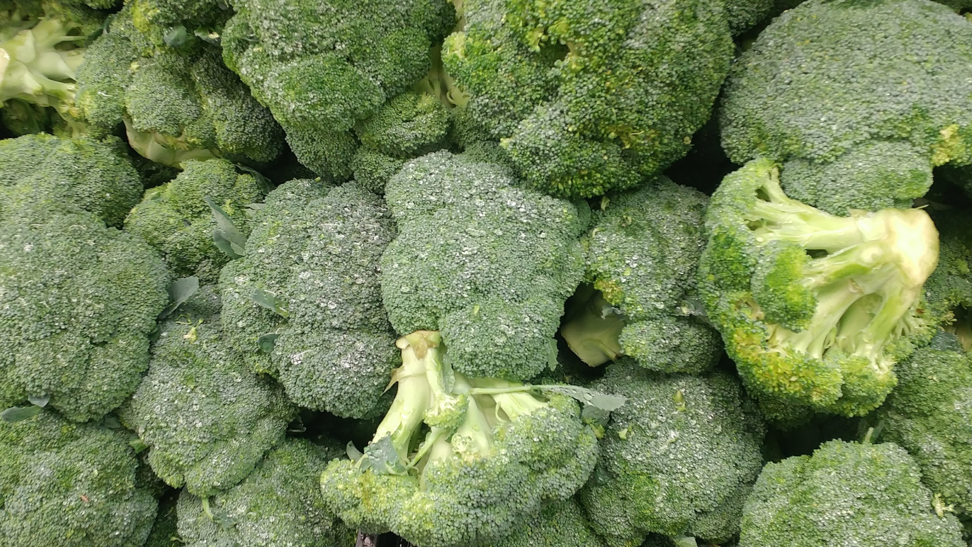 Broccoli