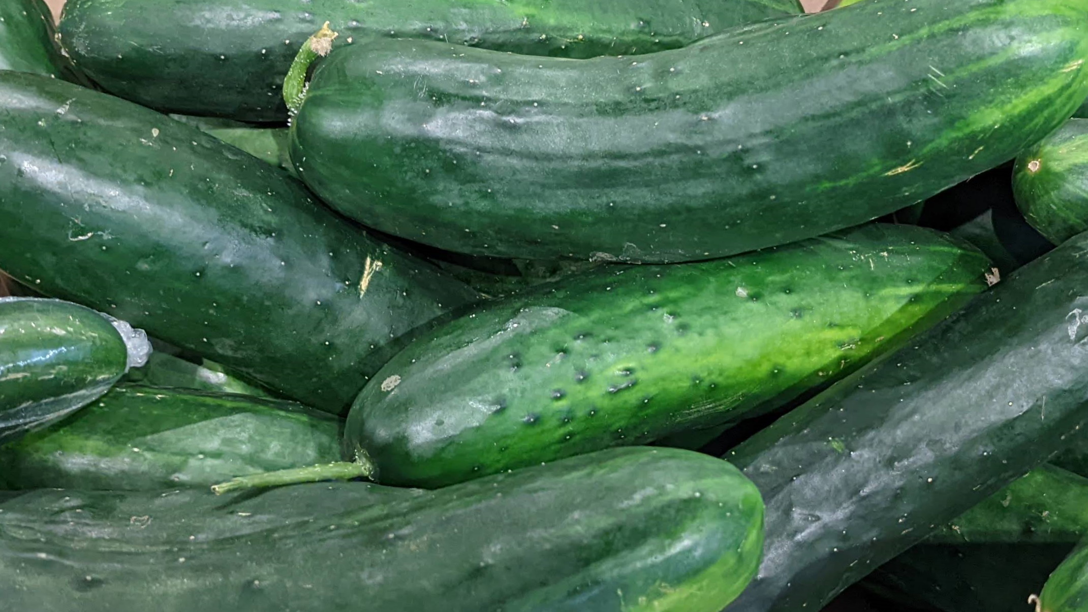 Is a Cucumber a Fruit or a Vegetable?