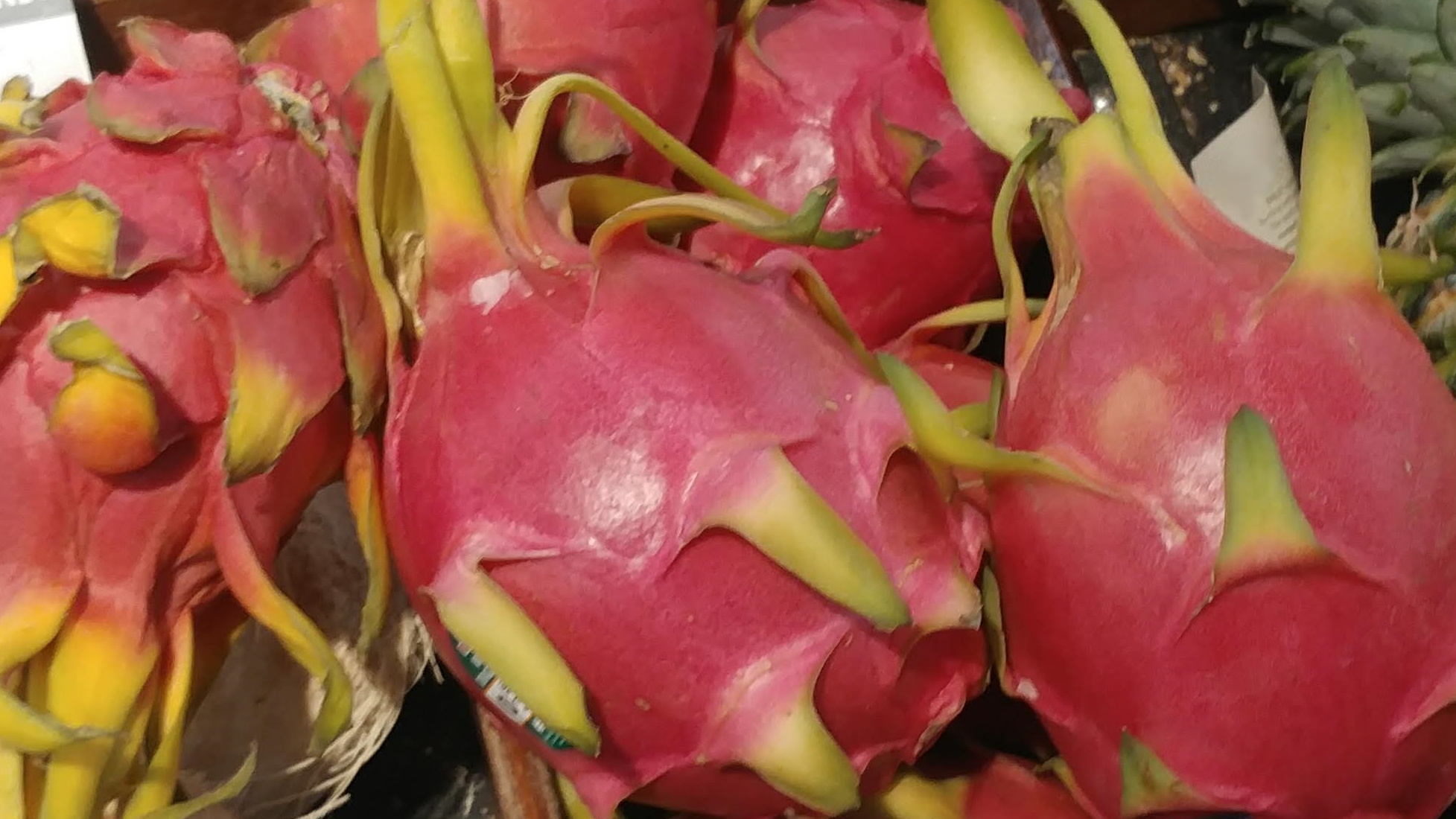 Dragon Fruit