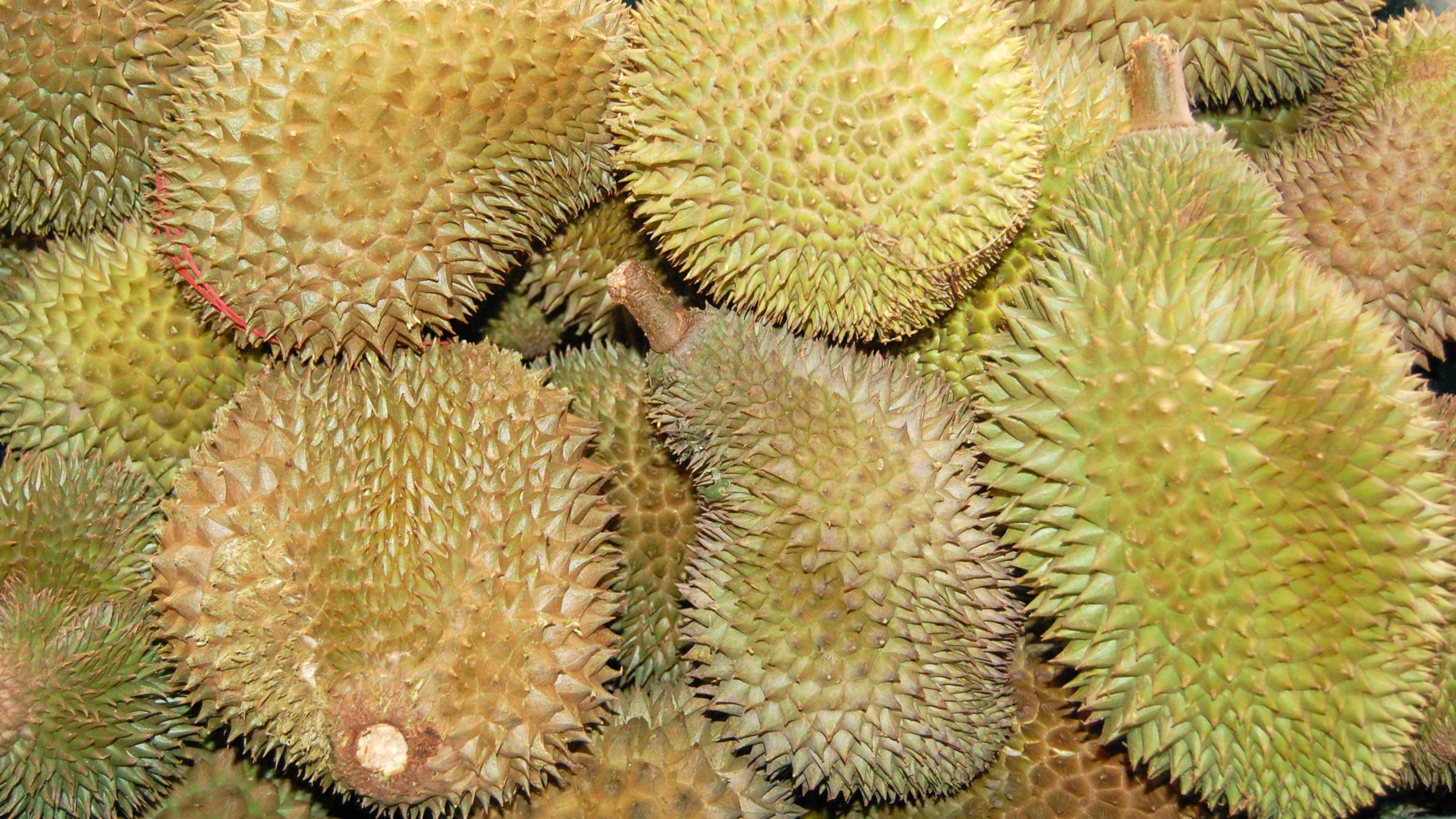 Durian