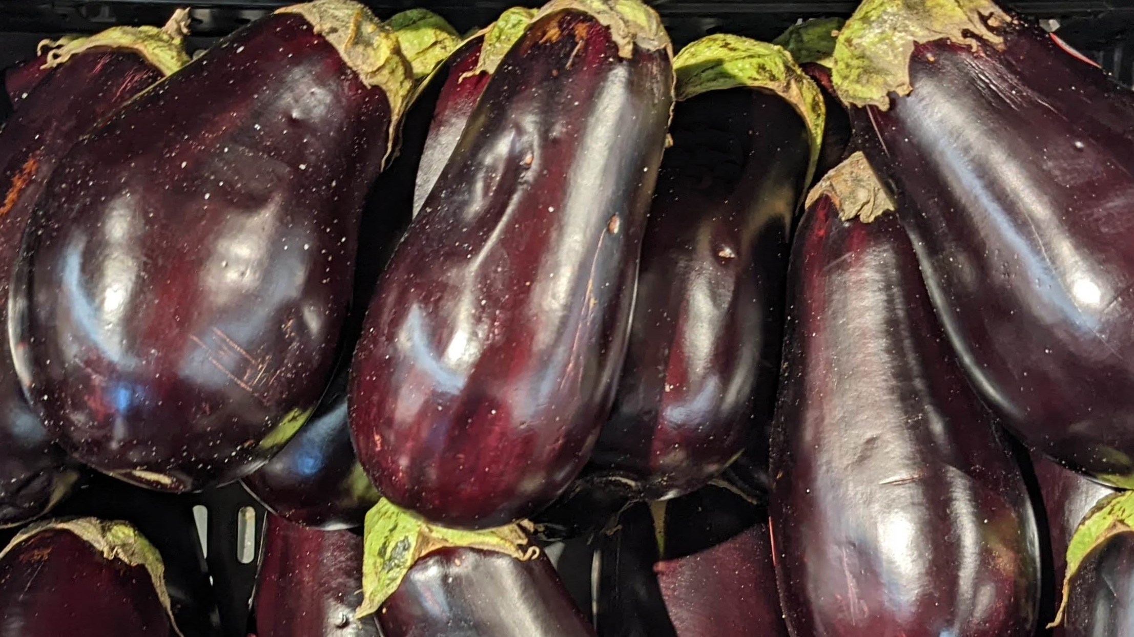 Eggplant