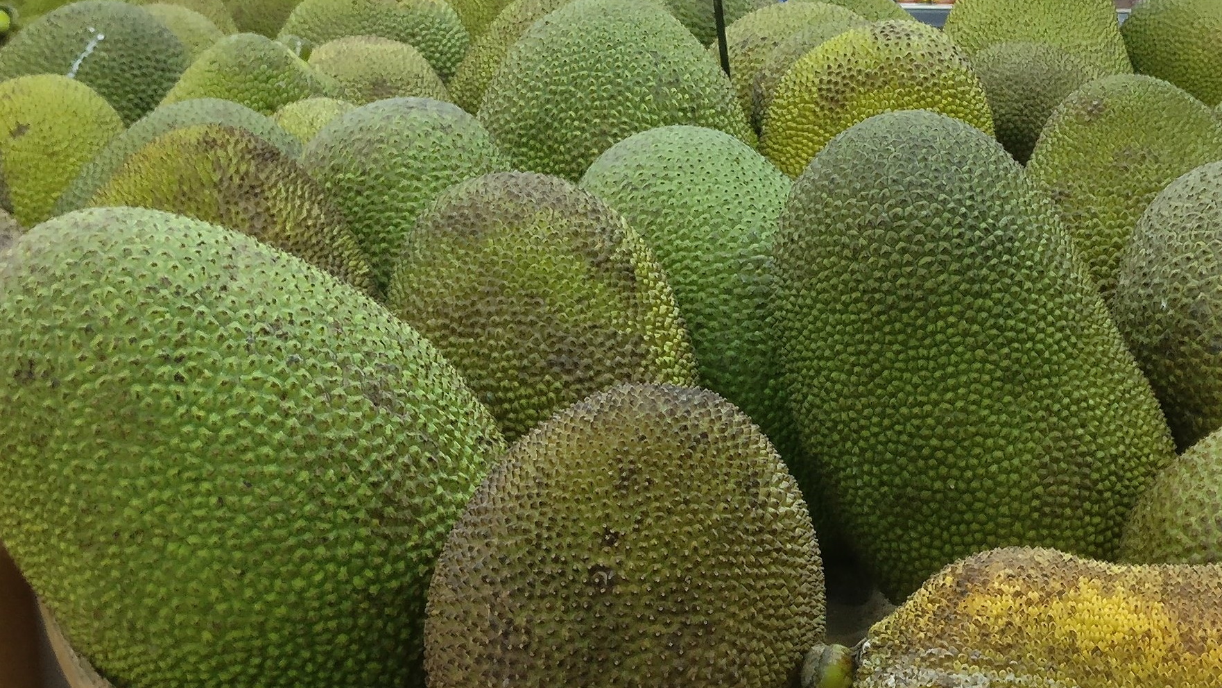 Jackfruit