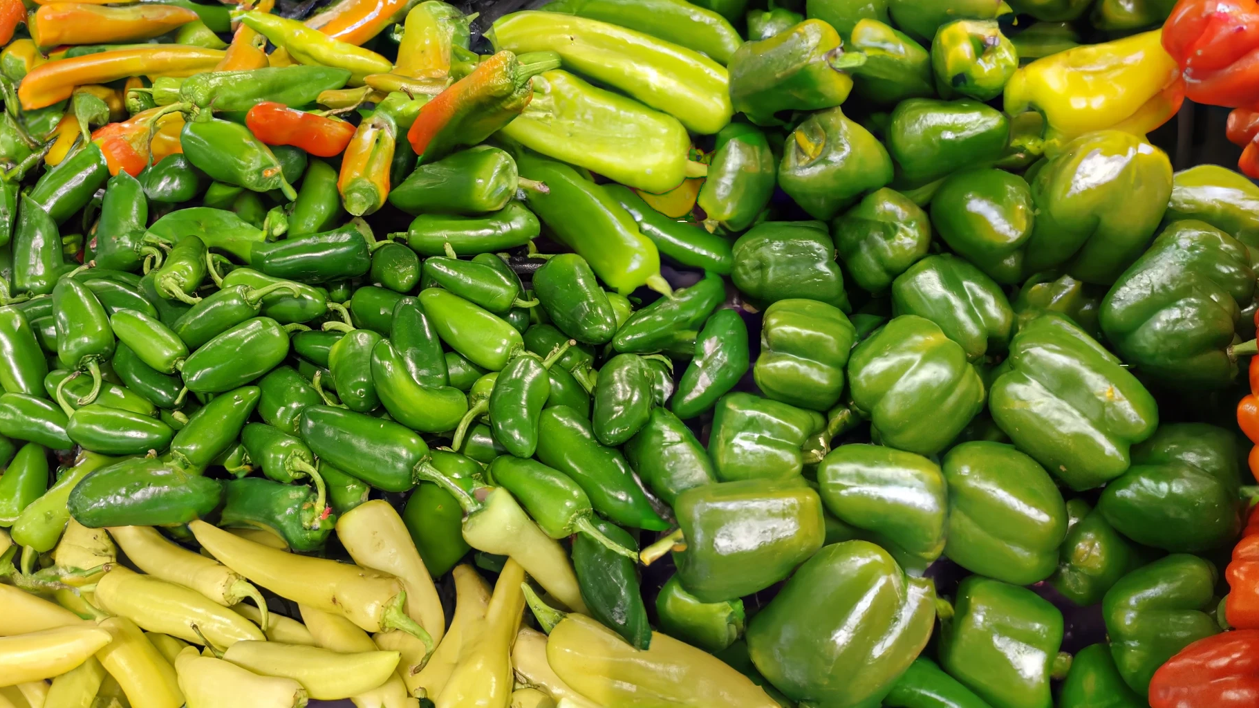 Pepper fruit on sale or vegetable