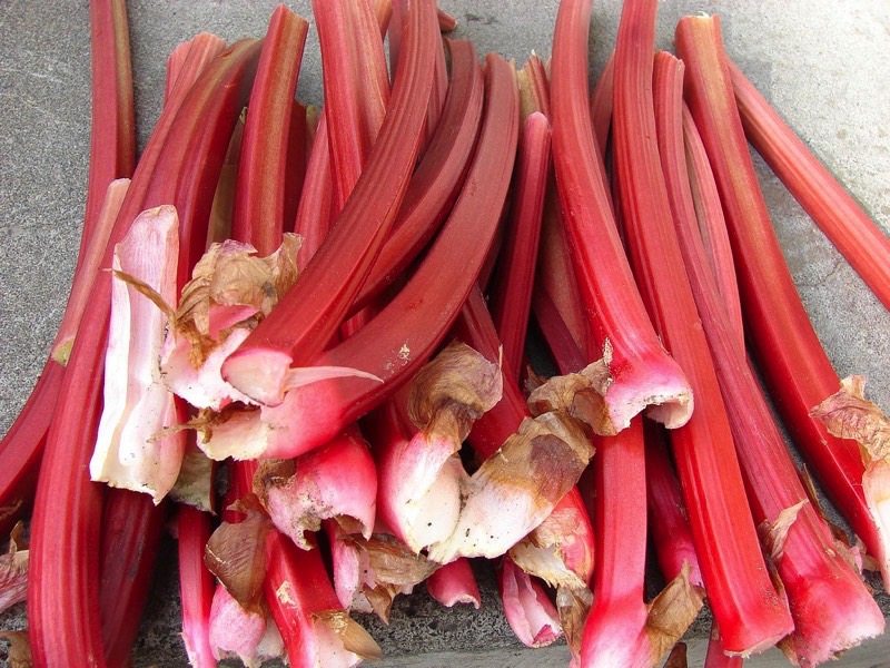 Rhubarb