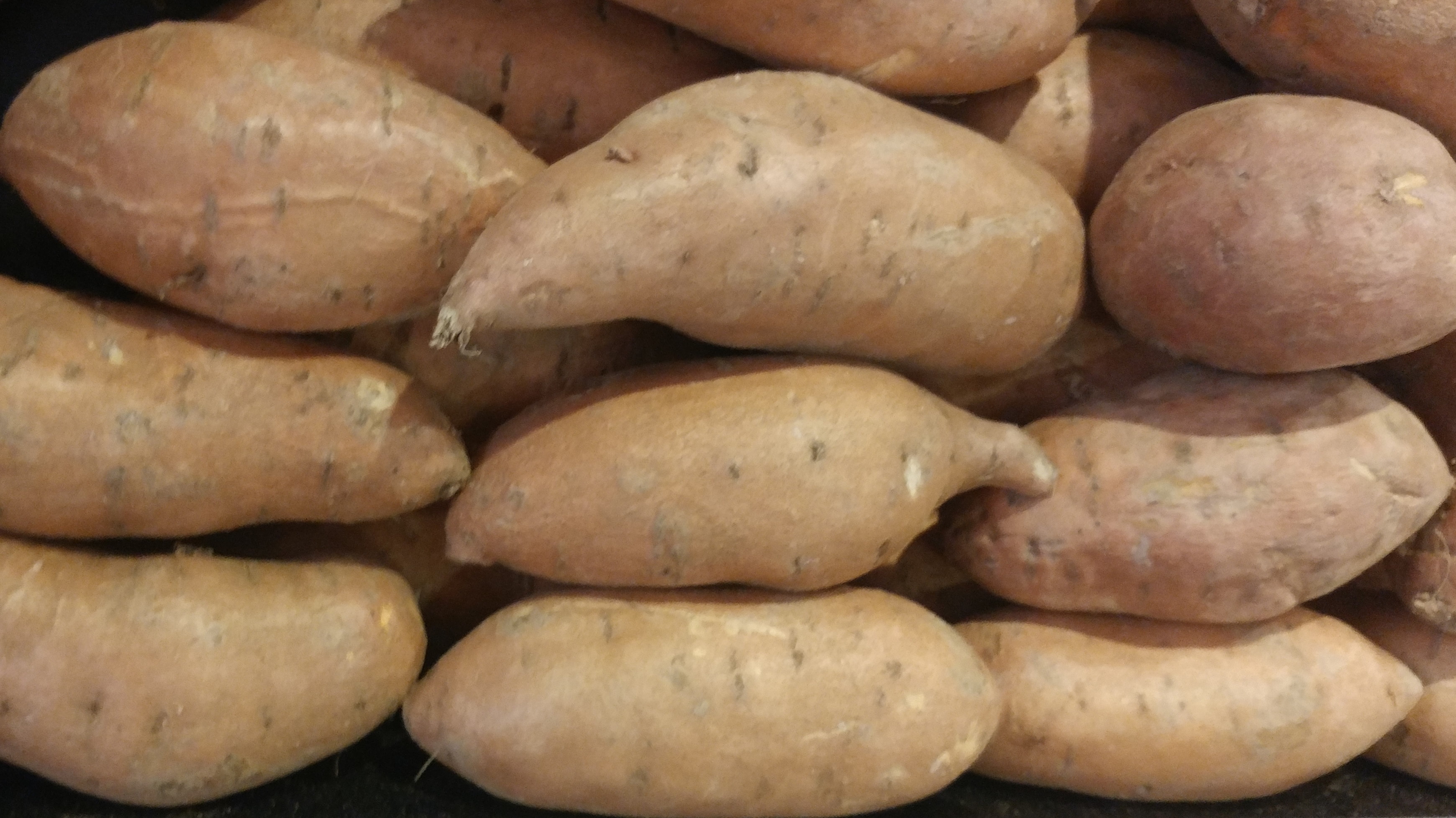 Sweet Potato