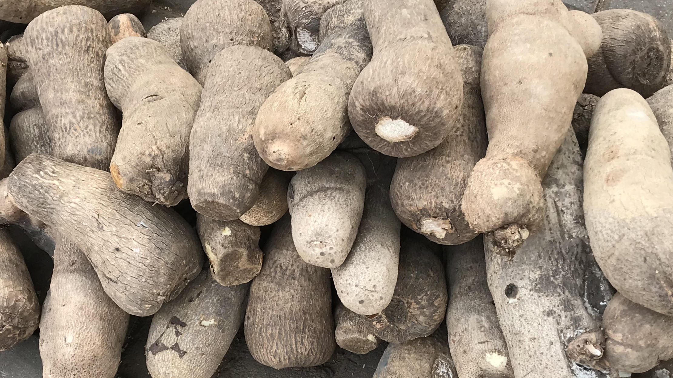 Health Benefits of Yam