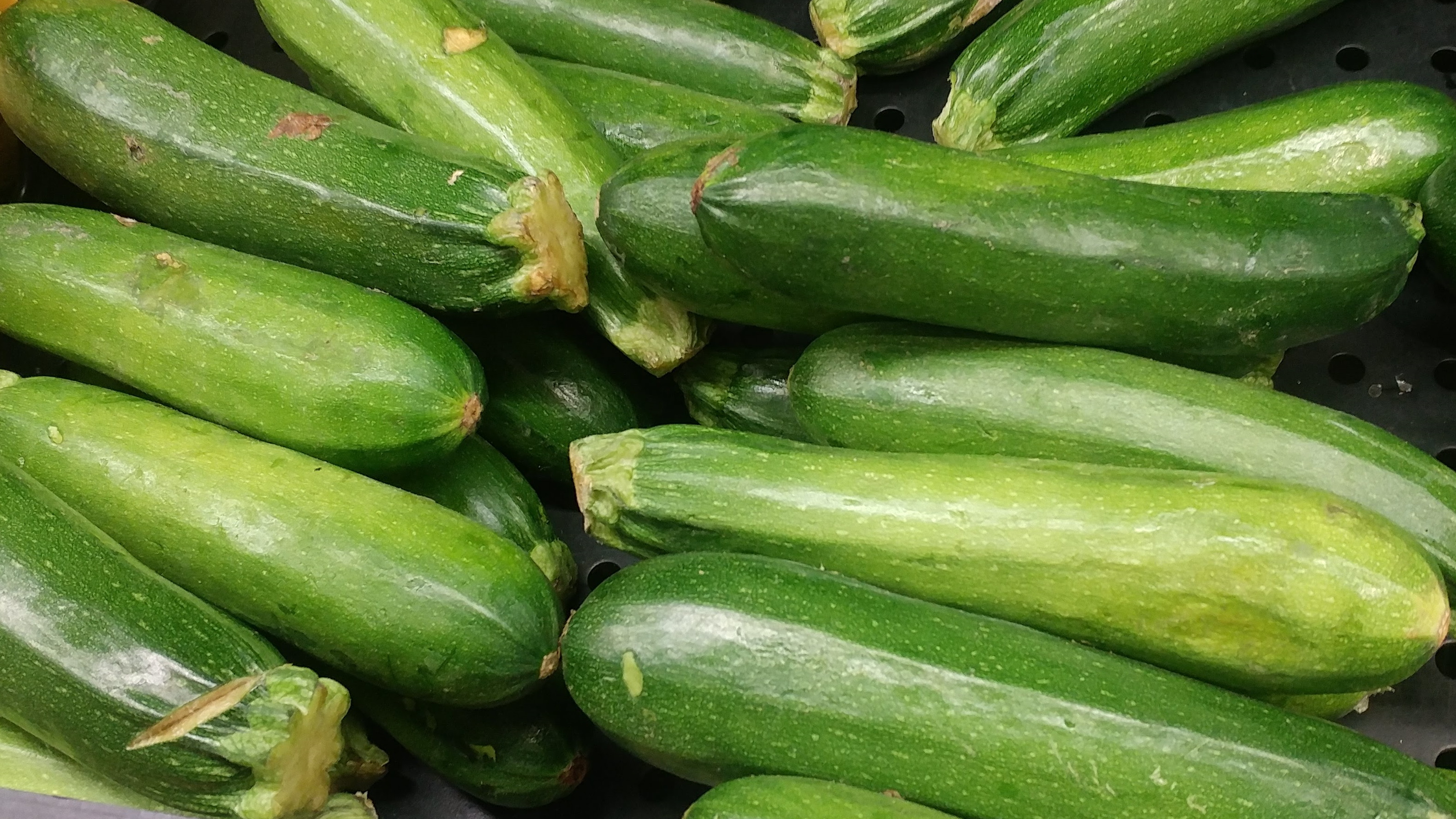 Zucchini